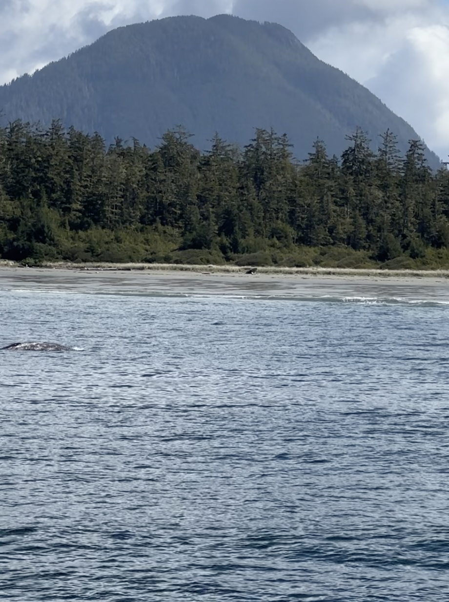 Capture d’écran 2025-03-30 à 20.13.58