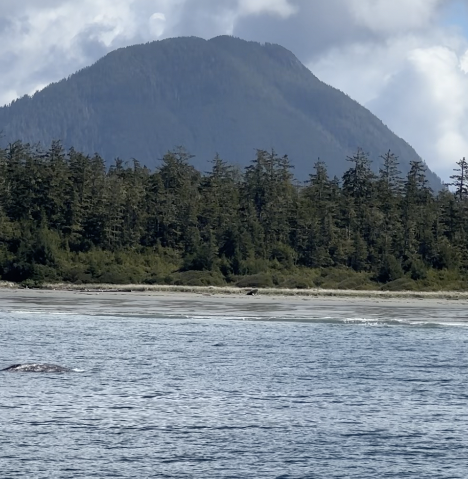 Capture d’écran 2025-03-30 à 20.13.58