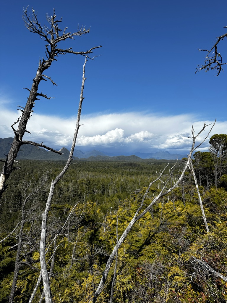 43D28A88-75A1-4EFD-A1E3-A2FFD0483D69_1_105_c