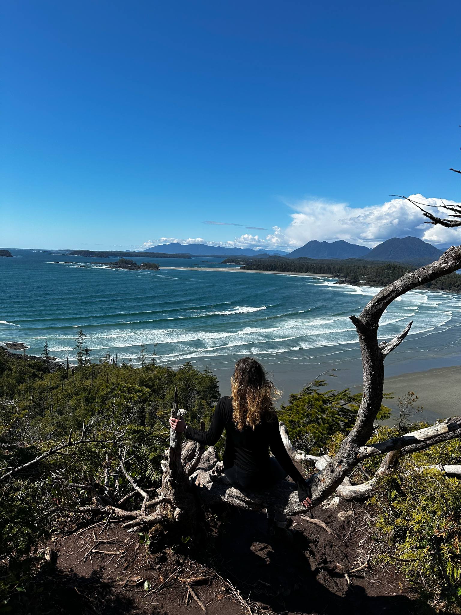 31625144-81b3-4d96-9941-0fafefb7553b