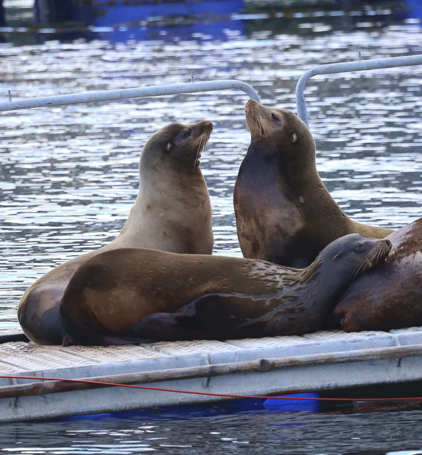 473704342_601000762539096_5170464123268214692_n (1)