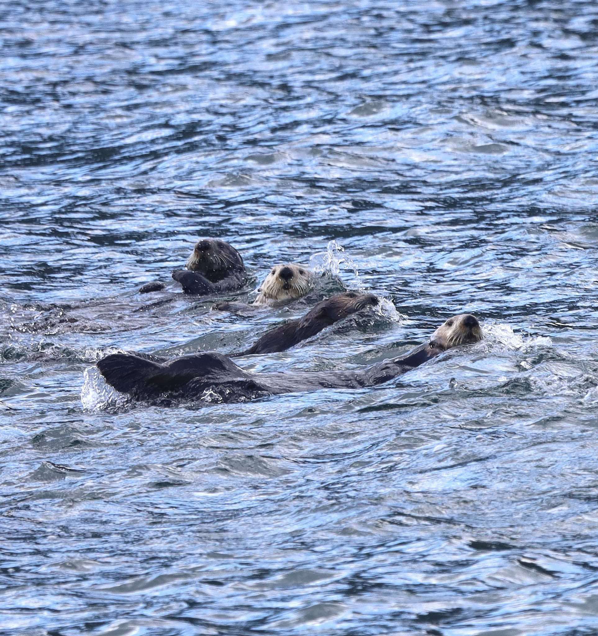 474255573_3948178402171381_1408633949472659788_n (1)