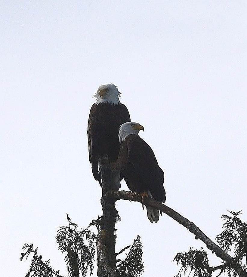 474618249_605959705385789_7615249124467940049_n