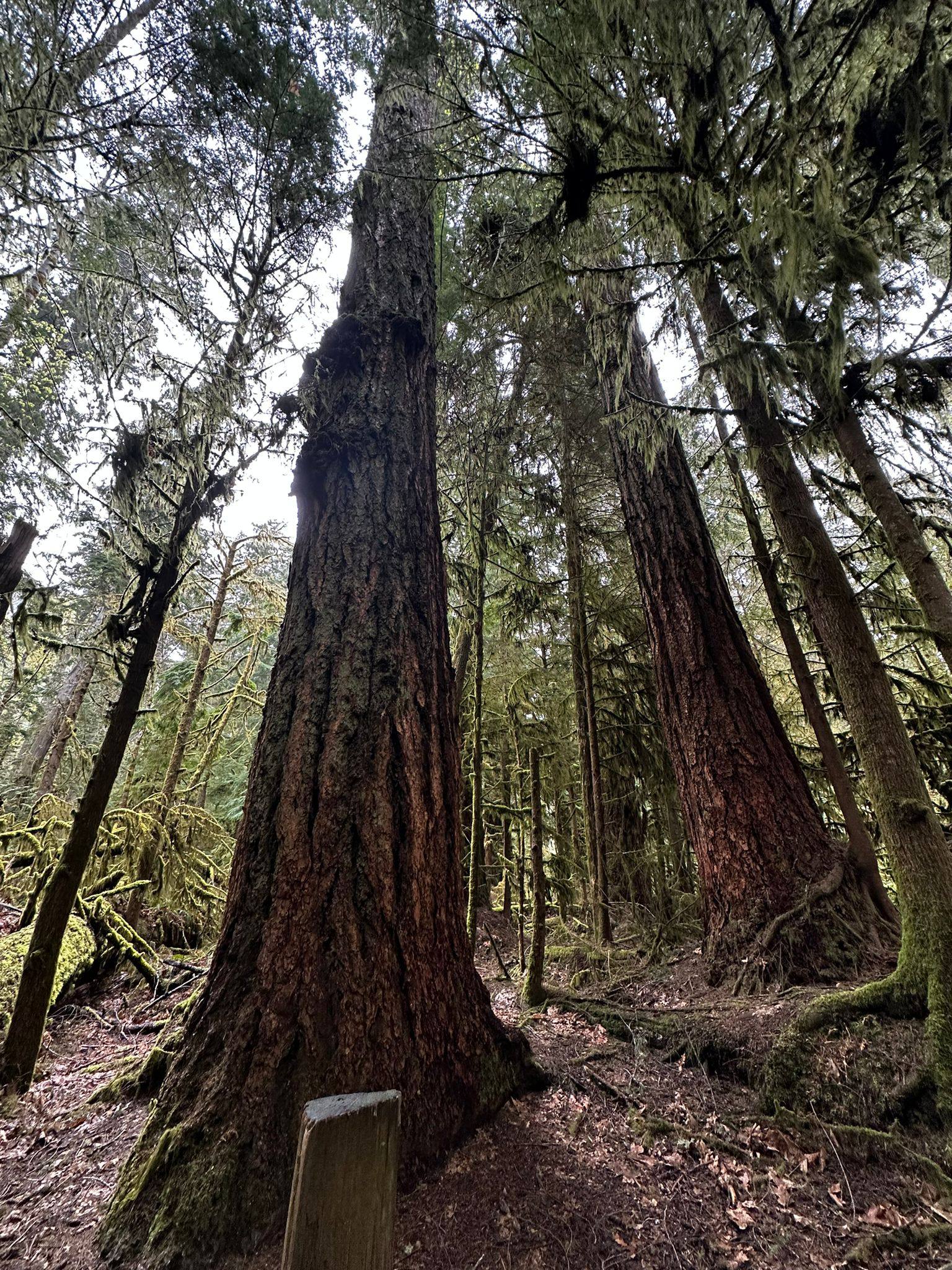 63c9b820-fbb2-4a3c-b4d1-1bd2201b7da6