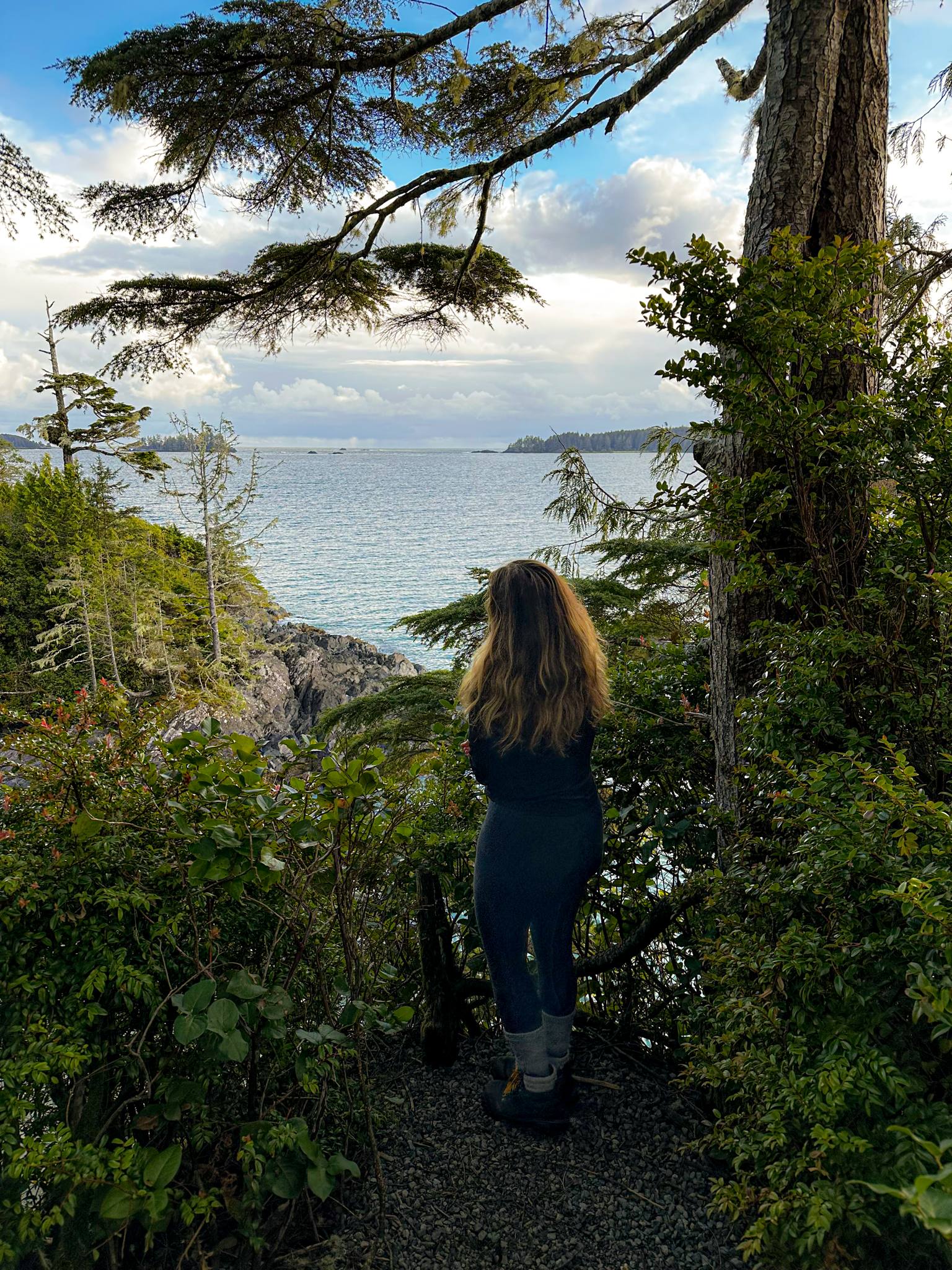 6463f6be-2794-4ee2-8944-a9ab756a24f3