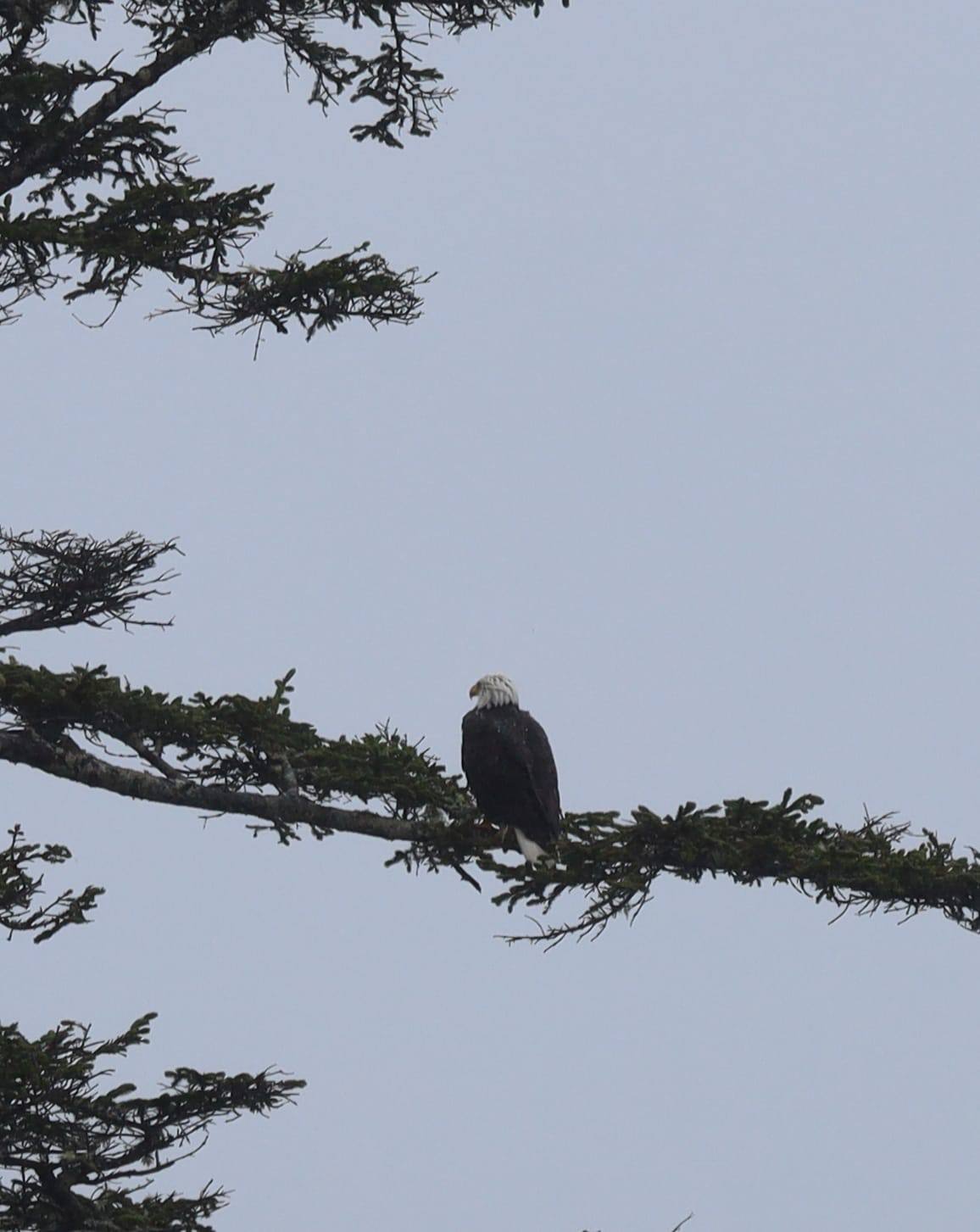 98b34409-f078-46a9-a69f-2d96a6616ef5