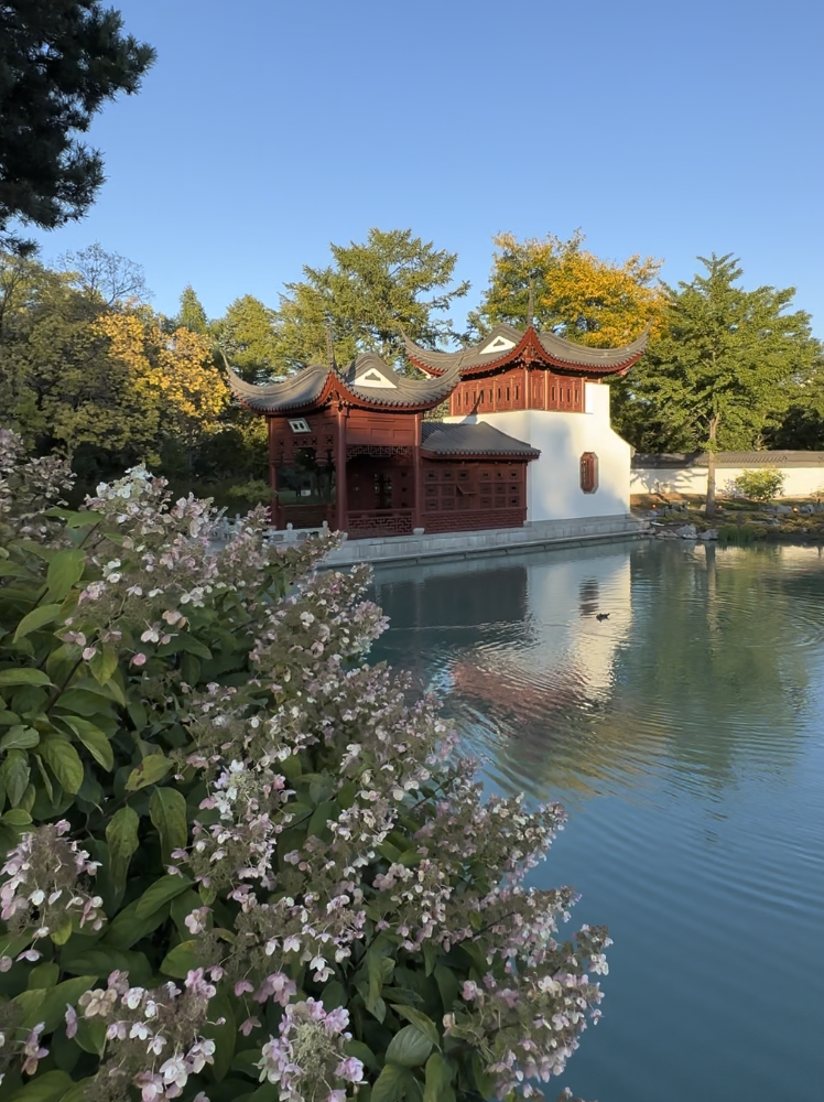 Capture d’écran 2025-06-08 à 17.12.27