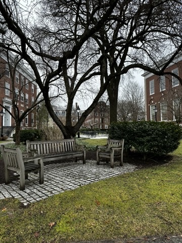 2F49333C-BD89-411F-AB0E-DE963C631D4C_4_5005_c