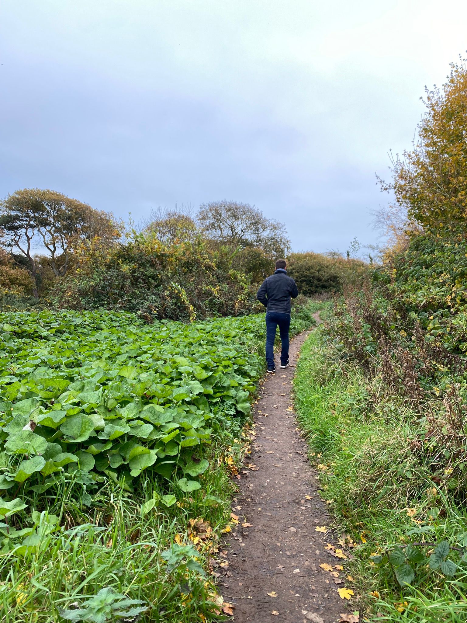 3c435571-1264-4771-8551-34bf0e84ed1c