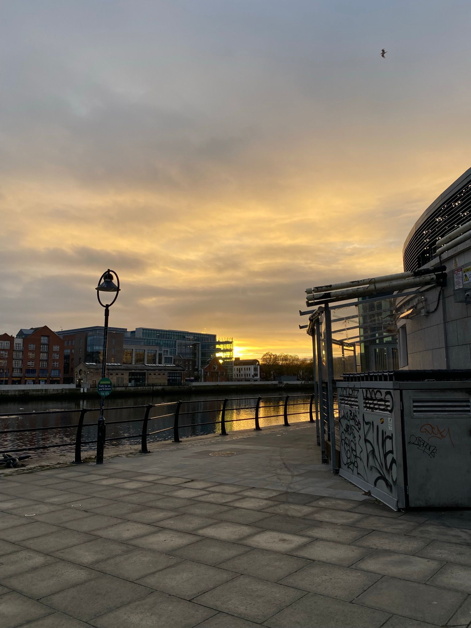 4a119b7b-7057-4f2b-9fb6-a71dc54df687