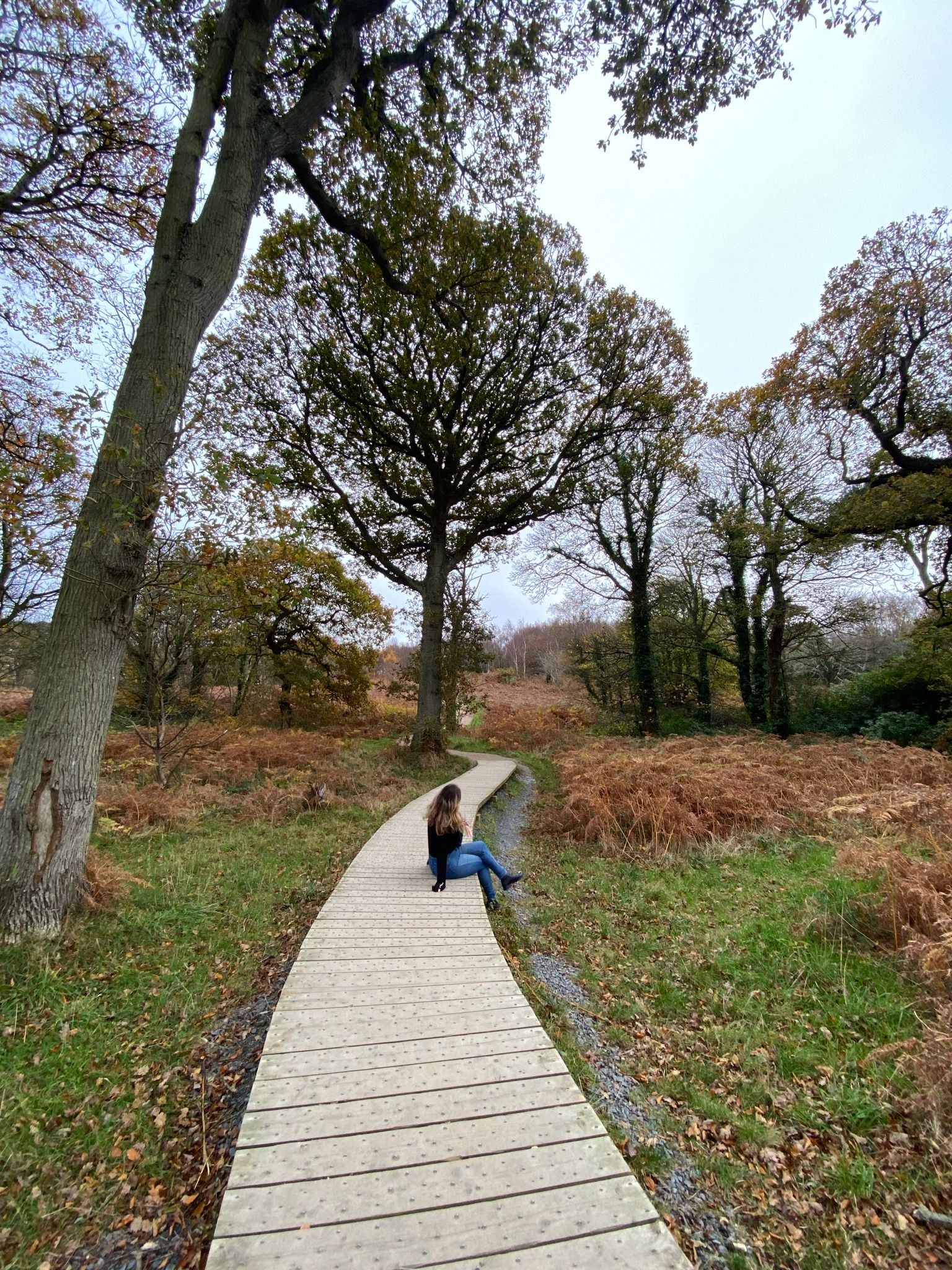 52654636-a6a1-4cbe-b0fd-2f490673a4f6