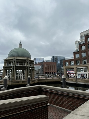 63111234-2C22-40F0-89DD-3E47F6E64929_4_5005_c