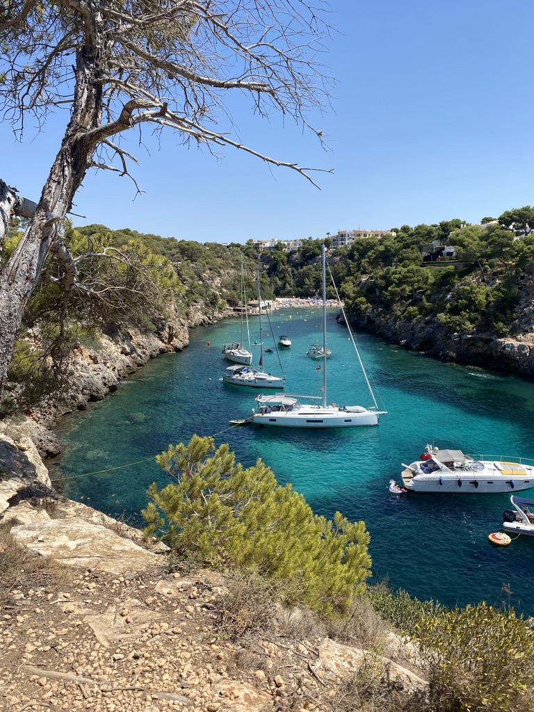 7BD95AF3-C5AD-40A7-B522-6988B31D7A1D_1_105_c