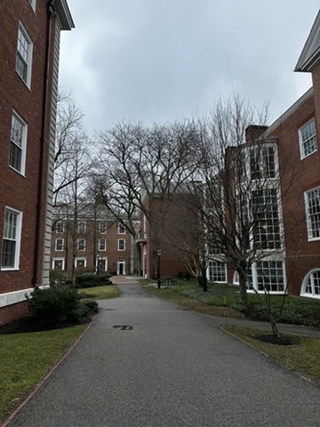 86918CDD-6E66-4185-A25B-EEB03C20AC6A_4_5005_c