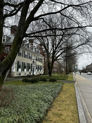 888ADA72-E129-4BAB-85F6-F2960C4D3D00_4_5005_c