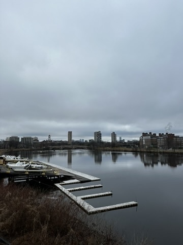 98109B8A-25D6-4853-A474-6F2597D726C0_4_5005_c