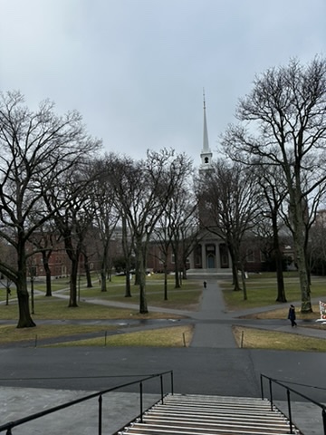 ED6A6BC1-693E-42A6-97AA-7BA6B151F13A_4_5005_c