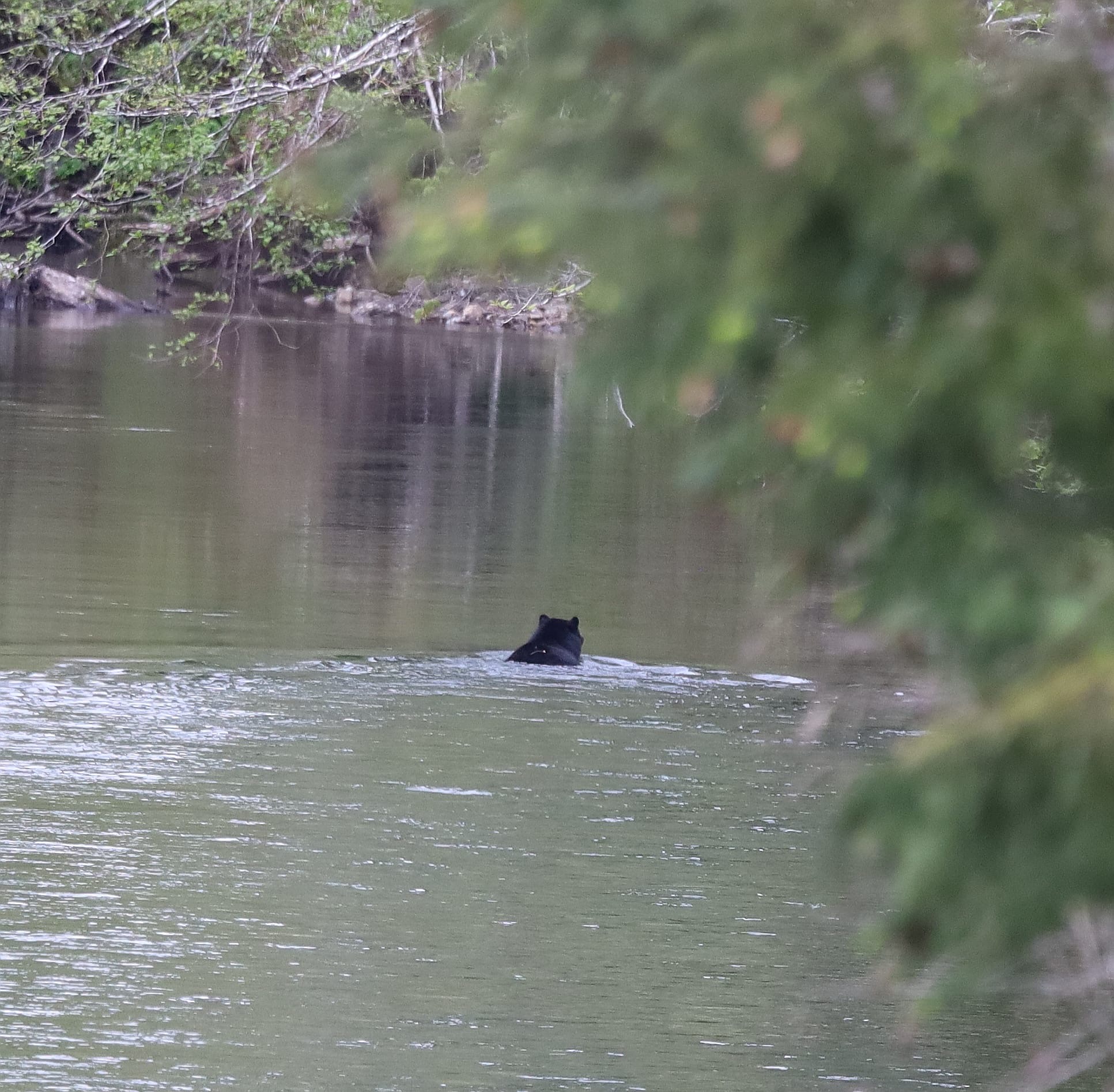 1e5b9b4b-6e99-4d13-ab67-74917c6d64e7