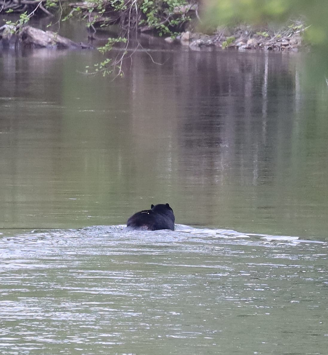 3b11169c-4bcc-4d4c-9333-c68e2194980f