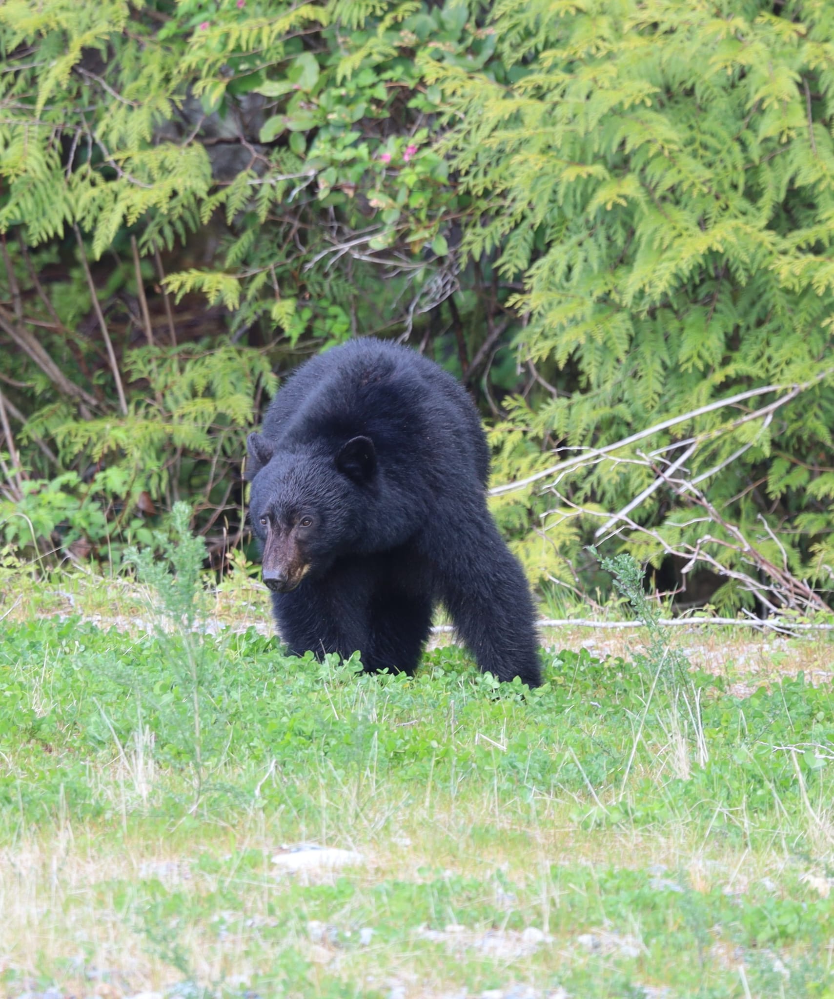 c36e0b2b-4162-4226-b25f-45499a8f1775