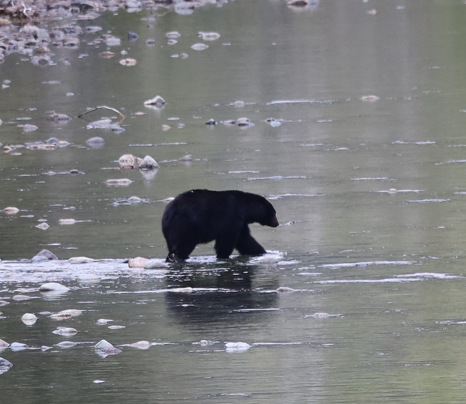 da86a37f-02fb-4324-88f2-d5900db8f3fc